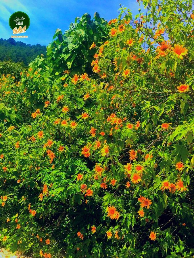 Ruby Homestay Dalat Eksteriør bilde
